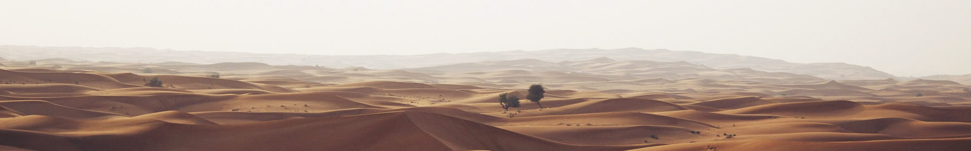 ƵĻƷ޹˾
